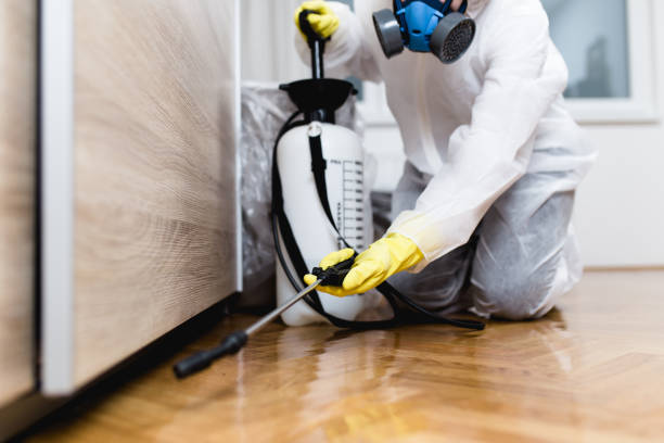 Best Wasp Removal Services  in Lindenhurst, NY