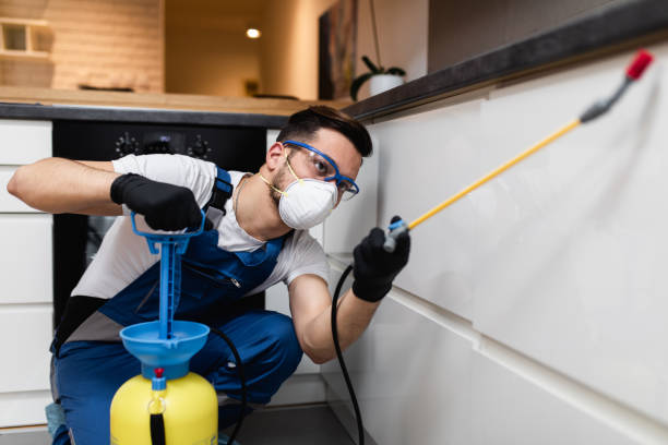Best Mosquito Control Services  in Lindenhurst, NY