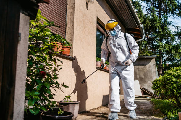Best Best Pest Control Companies  in Lindenhurst, NY