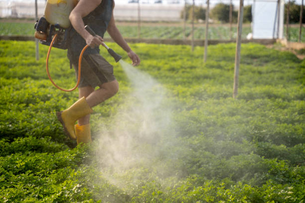 Best Commercial Pest Control Services  in Lindenhurst, NY
