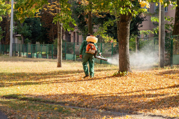 Best Bird Control  in Lindenhurst, NY