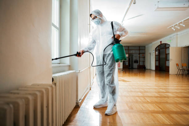 Best Pest Prevention Services  in Lindenhurst, NY