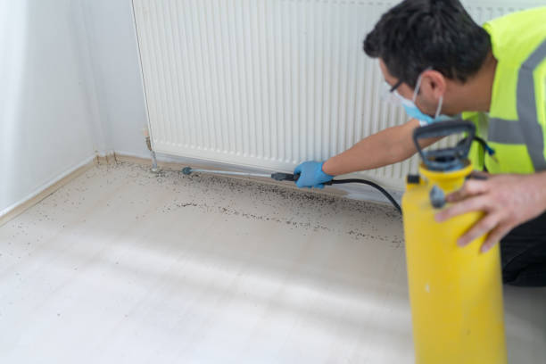 Wasp Removal Services in Lindenhurst, NY